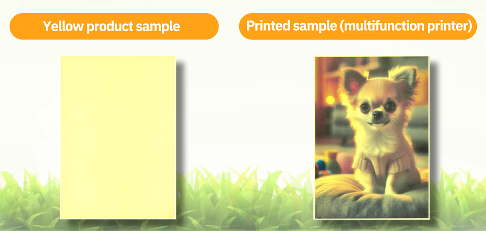 B%R deodorizing paper